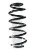 SPIDAN 86984 Coil Spring